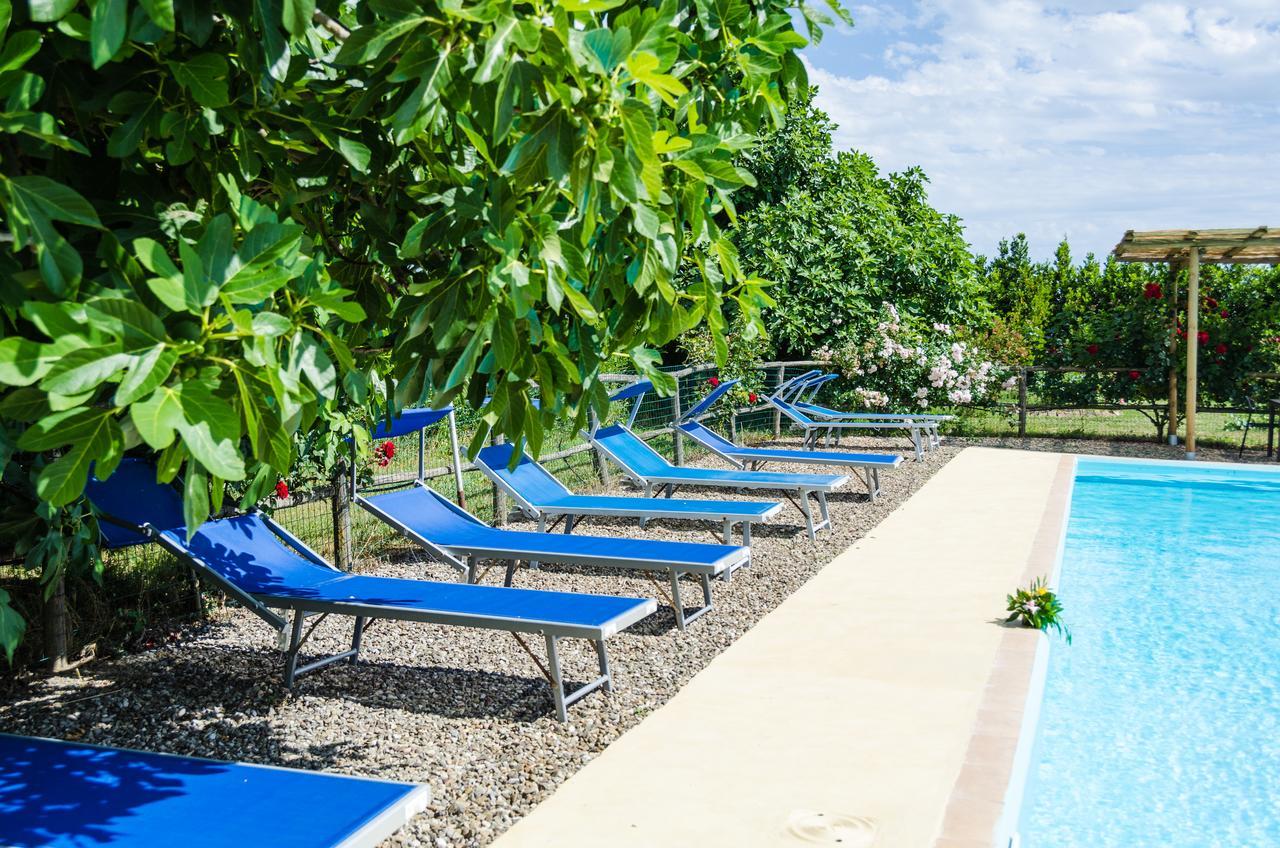 Agriturismo Il Roseto Марина-ди-Гроссето Экстерьер фото