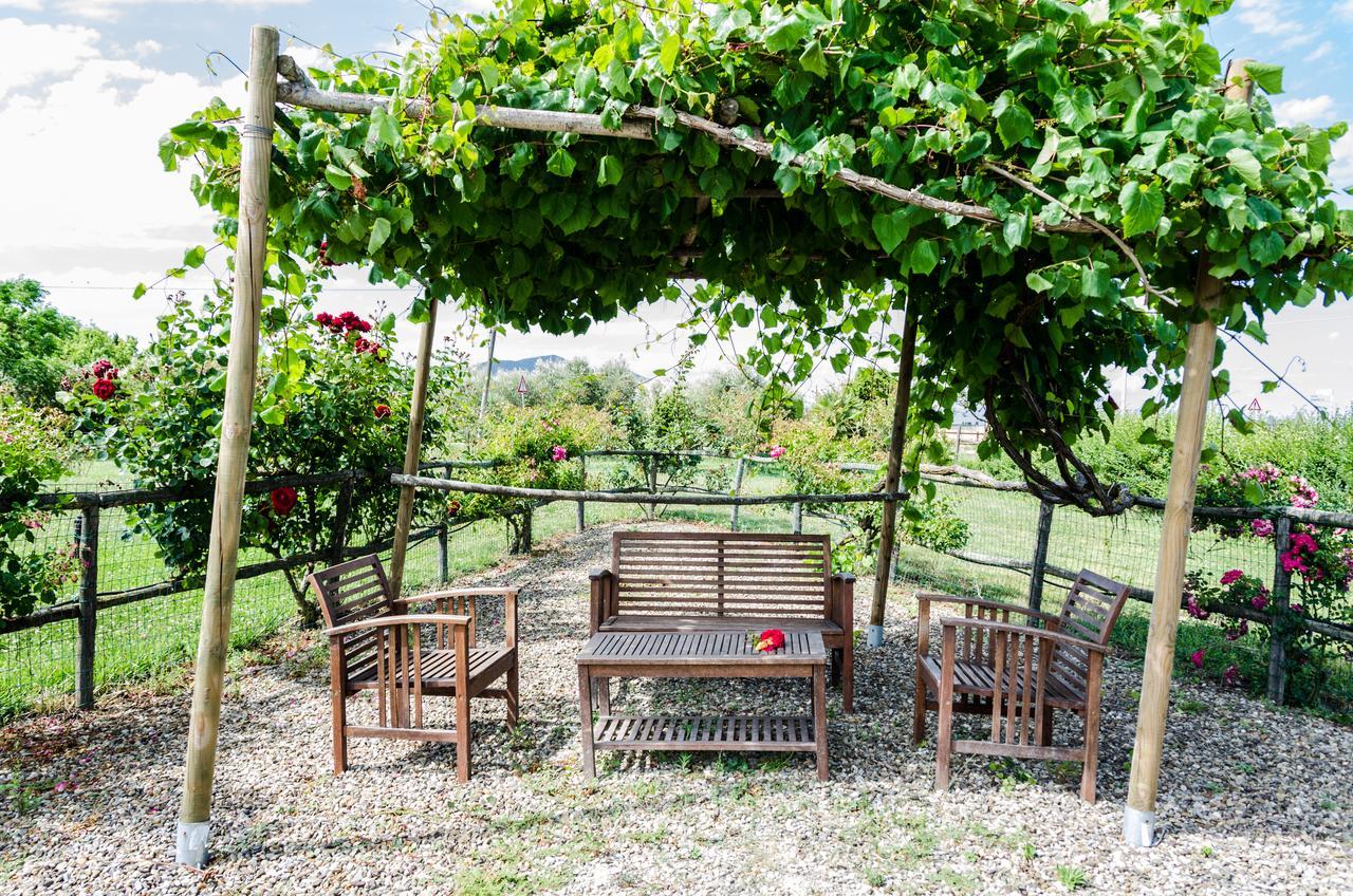 Agriturismo Il Roseto Марина-ди-Гроссето Экстерьер фото